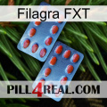 Filagra FXT 05